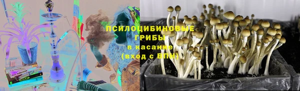 гидропоника Покровск