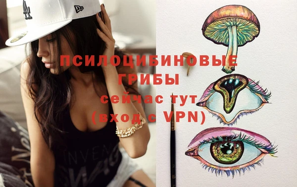 марки lsd Горняк