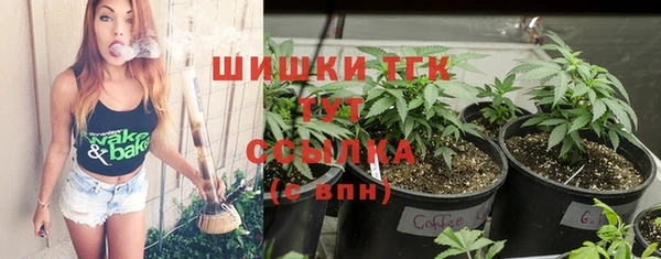 хмурый Покров