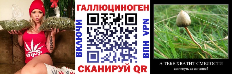 Псилоцибиновые грибы MAGIC MUSHROOMS  что такое наркотик  Гусиноозёрск 